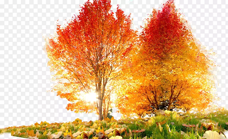 ���ɫ��-������