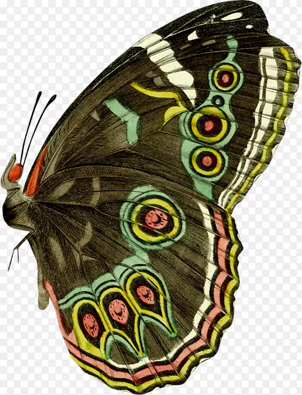 ��������-������