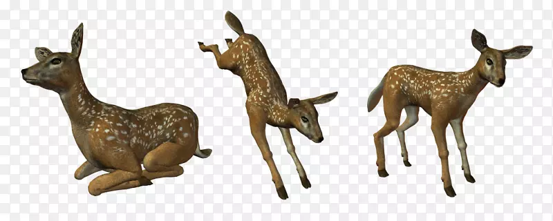 Ұ������PNG�ز�-������