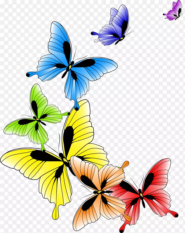 ������º���-������