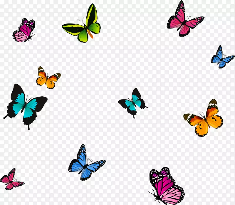 ������º���Ư���ز�-������