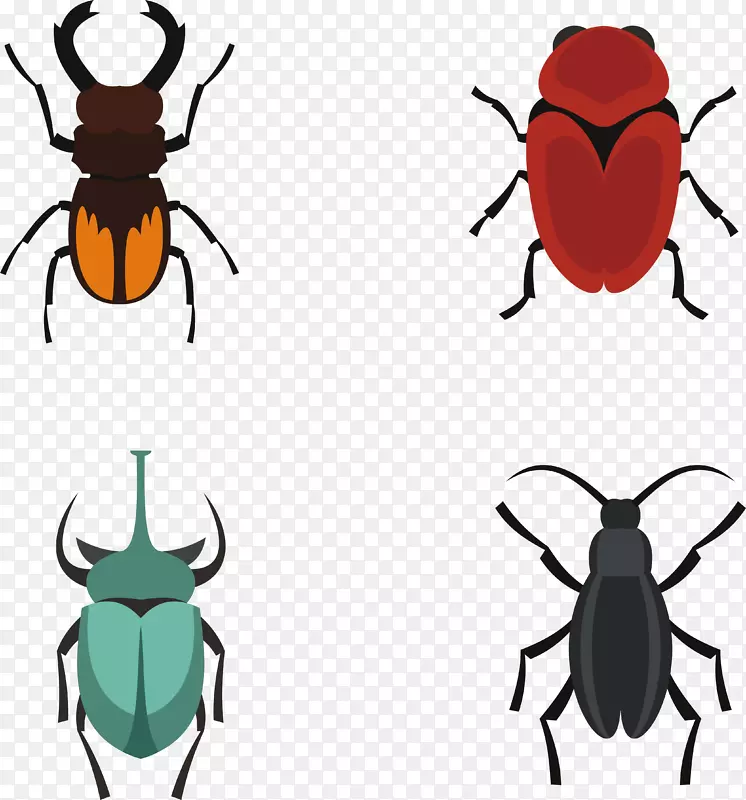 ��ͨС�������-������