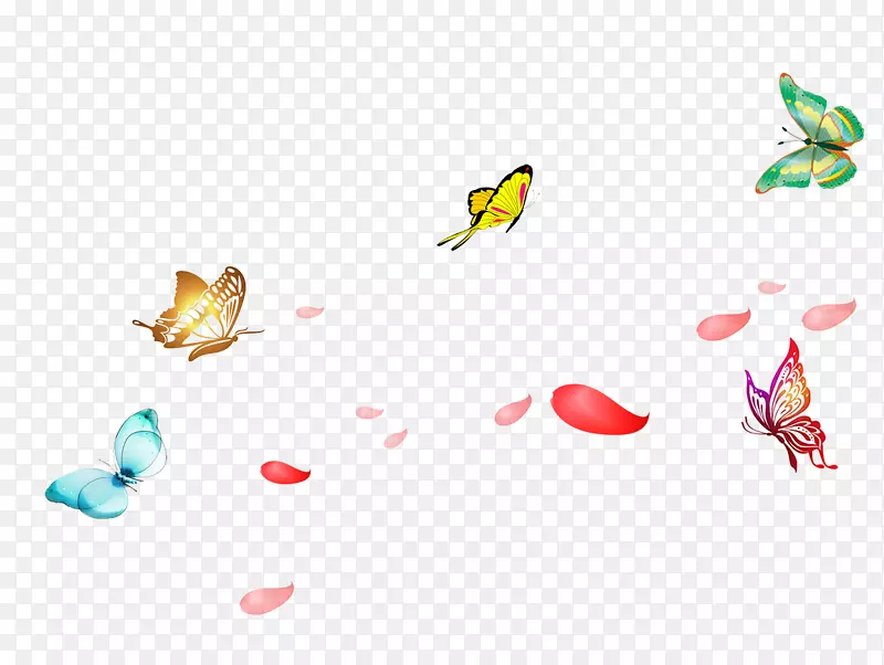 ����Ư���ز�-������