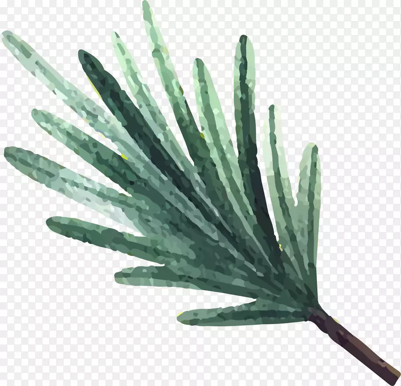 ʥ������Ҷ-������