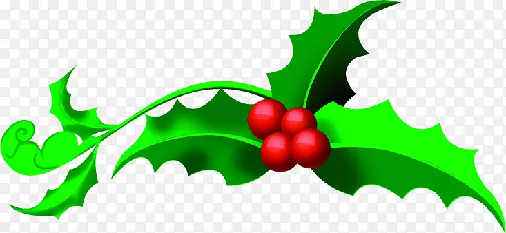 ��ɫʥ����ҶƬ��ͨ��ҵ-������