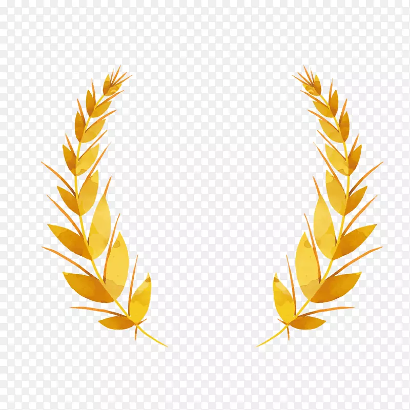 ��ɫ����-������