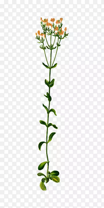 �����ݻ�-������