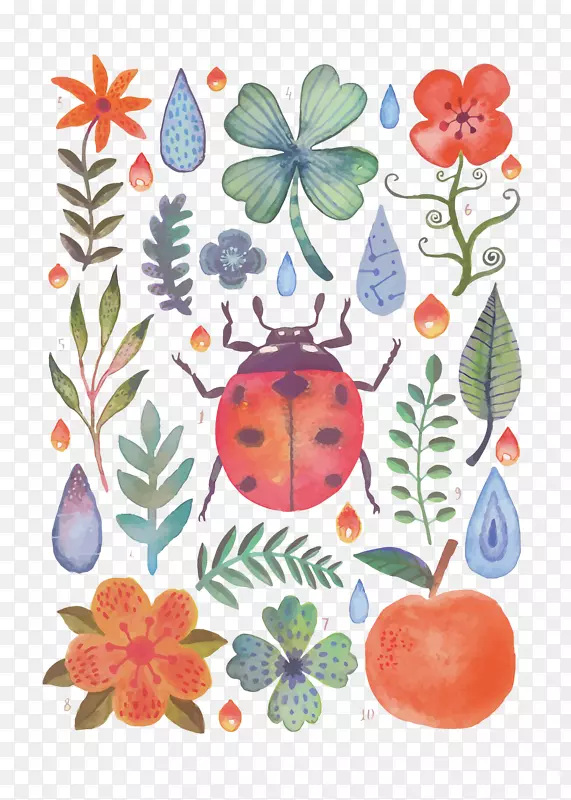 ʸ��ˮ����Ҷư��-������