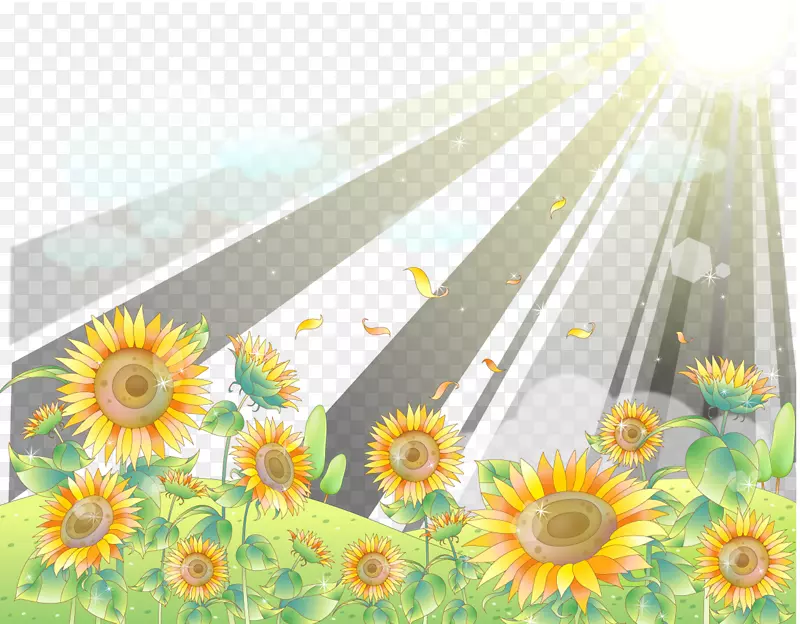 ʸ������羰-������