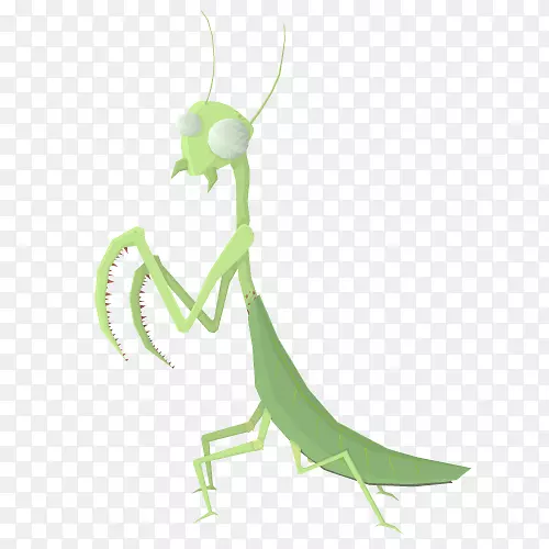 �������趯�ﳤ��¹���-����-������