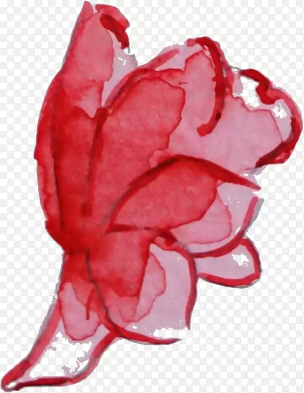 ��԰õ�廨�����õ�壬ˮ�ʻ�������-������