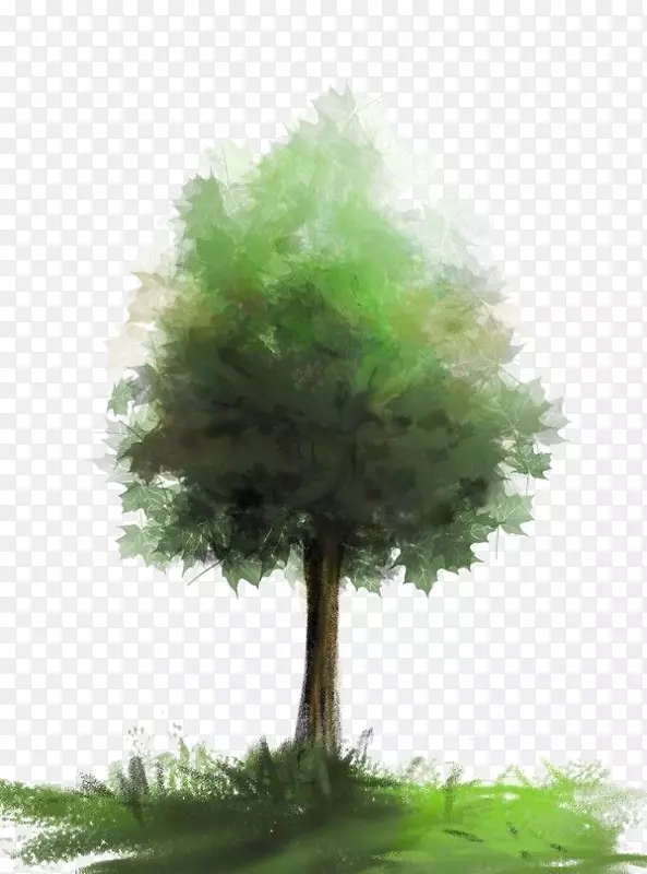 ˮ�ʻ�������ˮ�ʻ�-������