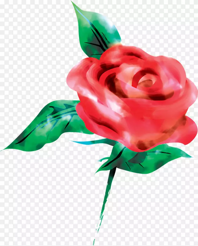 ˮ�ʻ�Ǿޱ��չ��-������