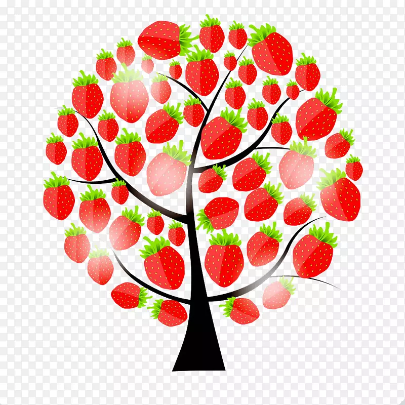 һ�Ų�ݮ��-������