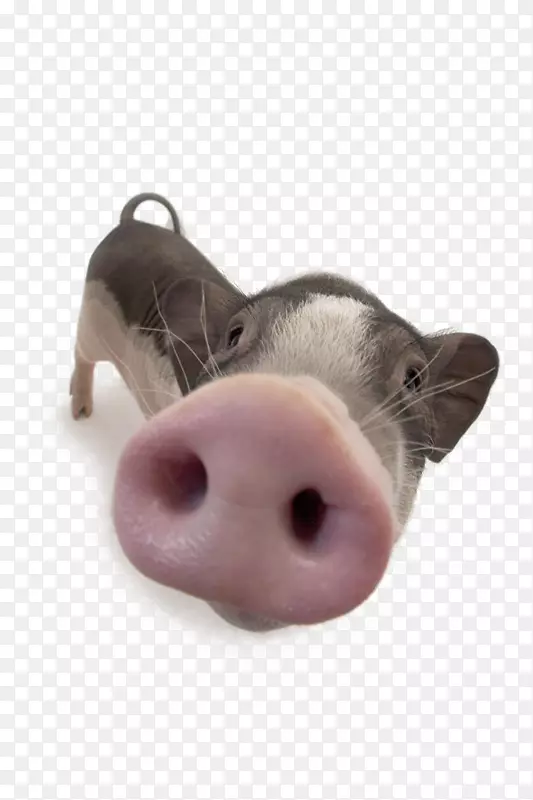 ������-����-������