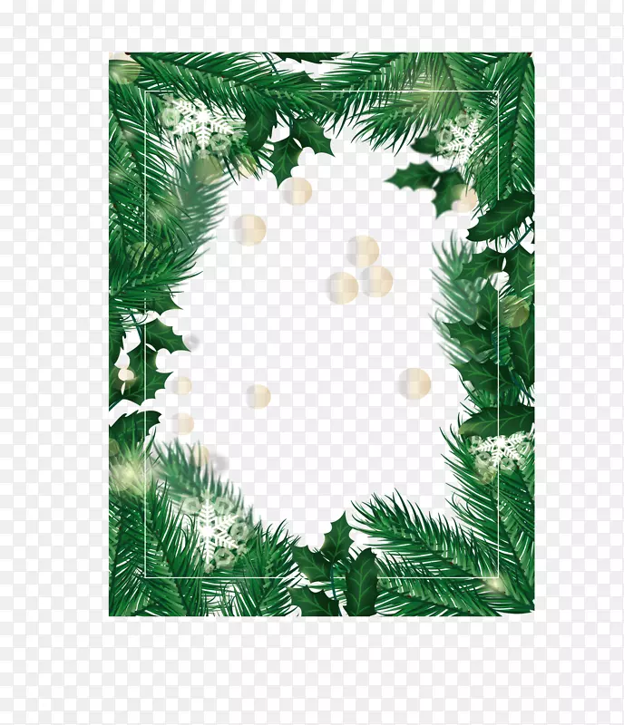 ��ɫʥ������Ҷ�߿�-������