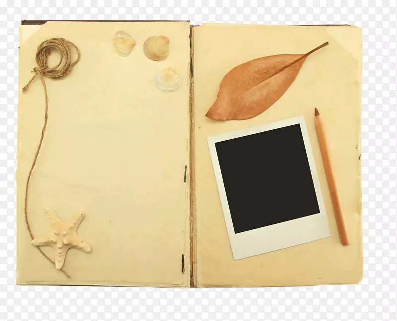 ����ֽ����ֽ����-������