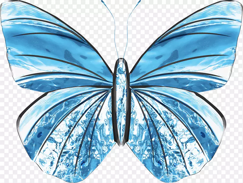 Ψ����������-������