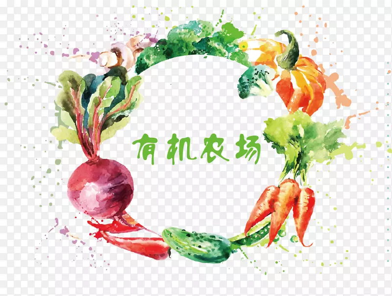 �߲��ֻ��������-������