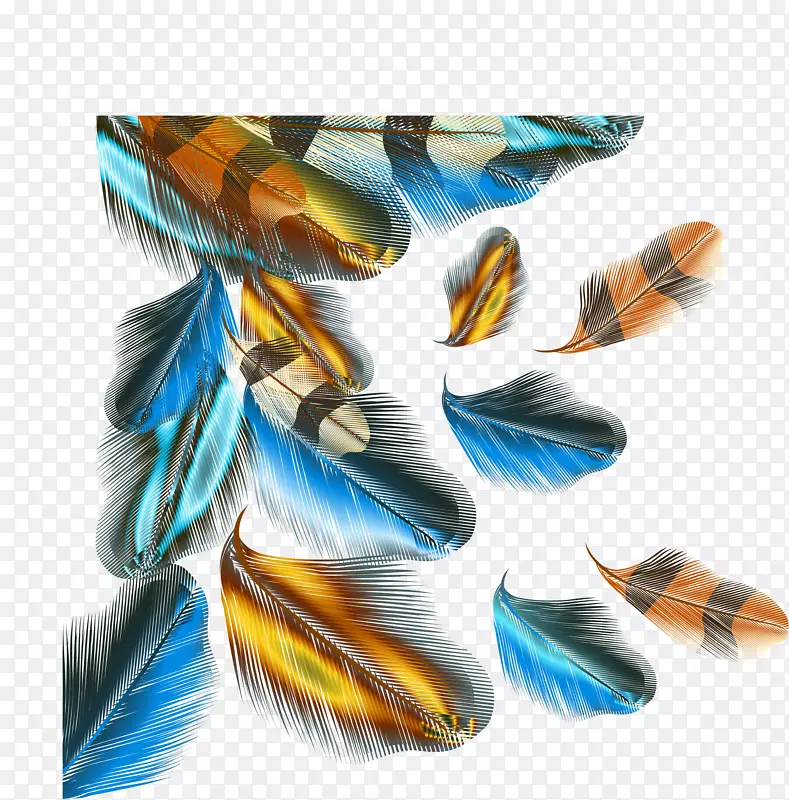 �����ëʸ����ɫ��ë��ͼ-������