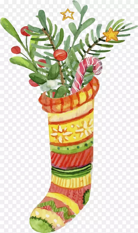 װ����֦��ʥ����-������