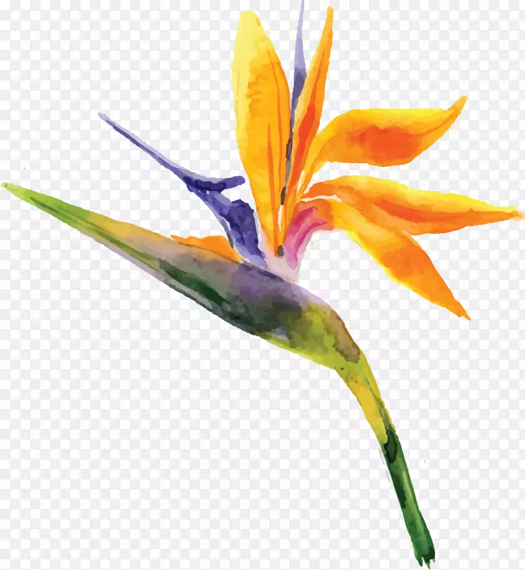 ����ˮ�ʻ���廭װ�β廭-������