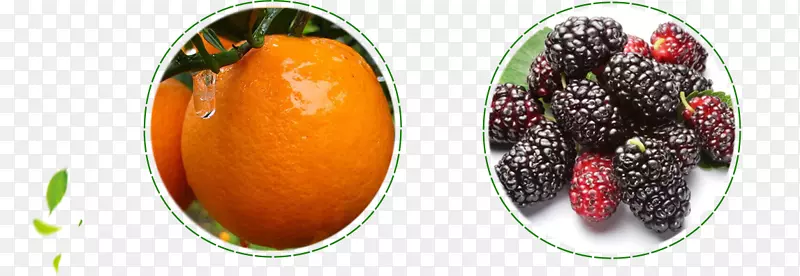 ����ɣ�ز�Ʒʵ��-������