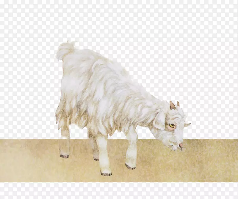 �����ɫˮī�Բ�-������