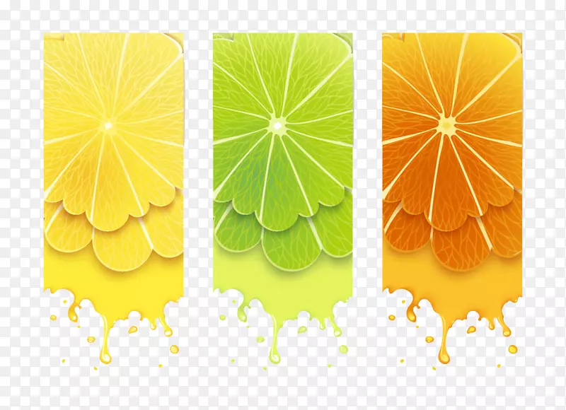 �ͷ�ˮ�������ز�-������