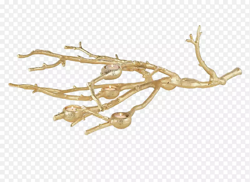 ��������֦����̨�ڼ�-������