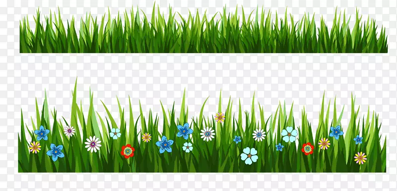 �����̵�-������