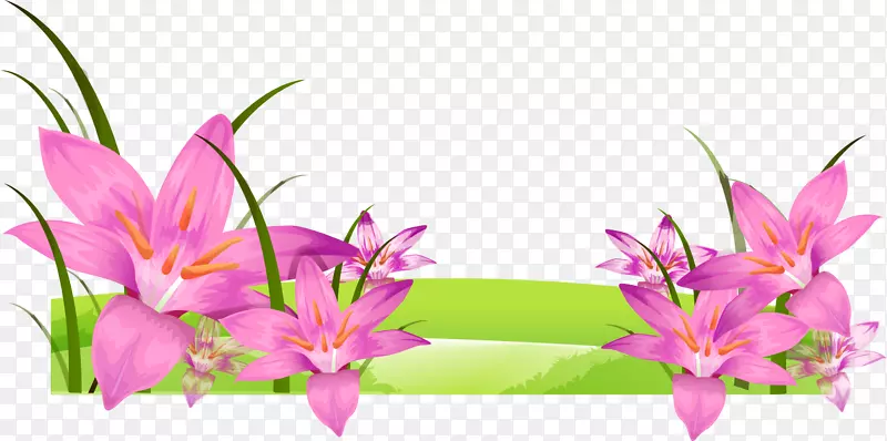 ��ɫ�������-������