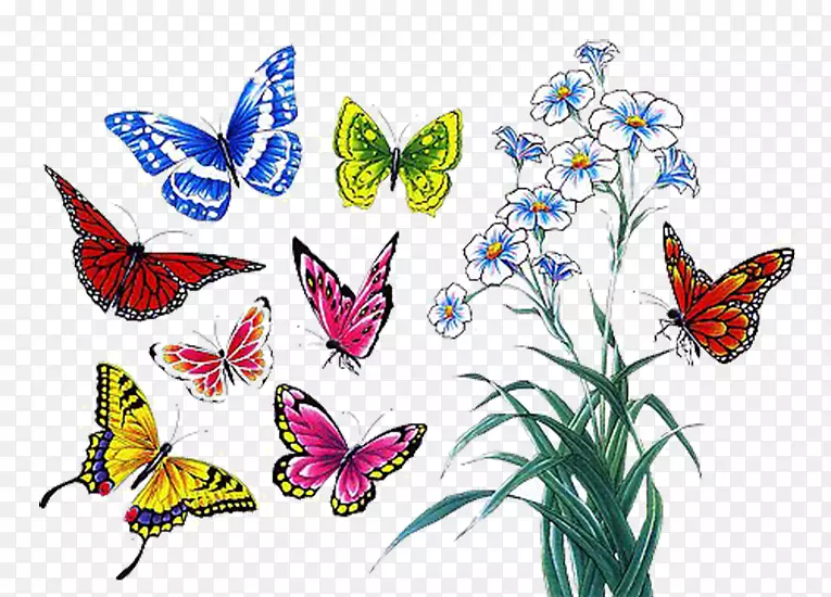 �ֻ�羰������ز�-������