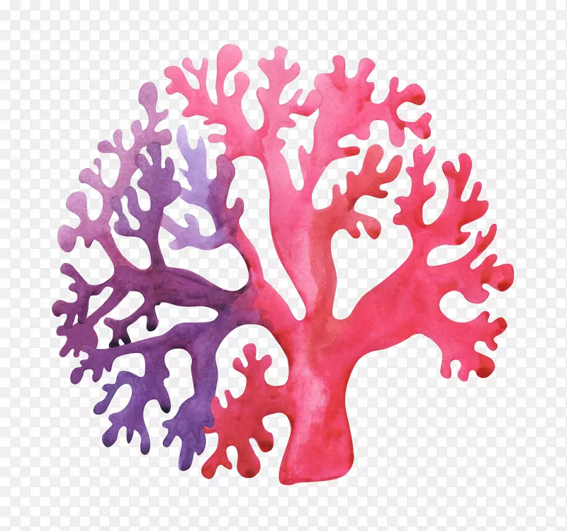 ˮ�ʺ���ֲ��ɺ��-������