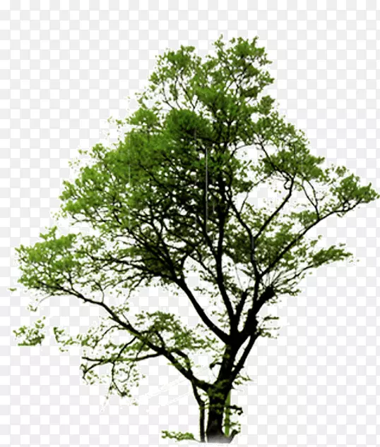 ���̵Ĵ���-������