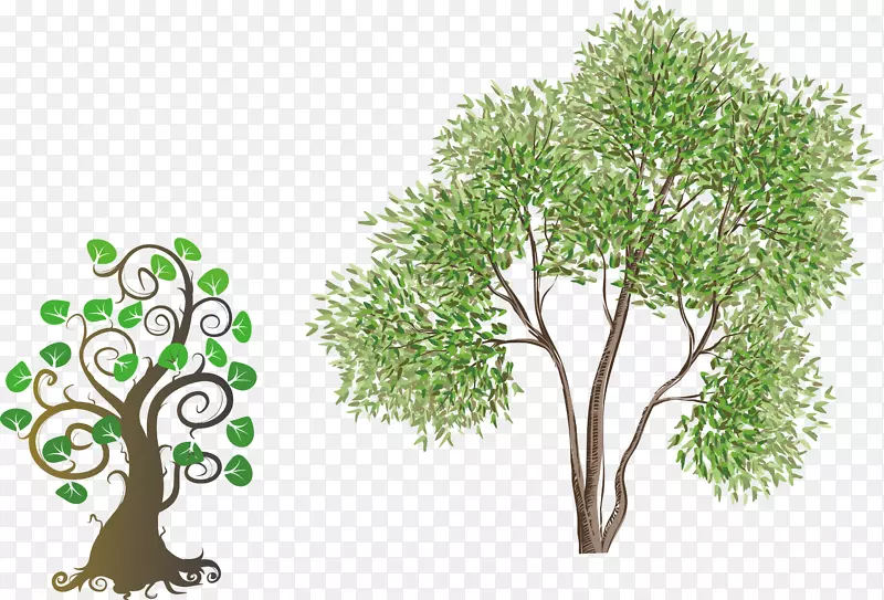 �ɰ����̴���-������