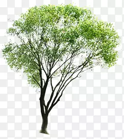 ���մ��̾��۴���-������