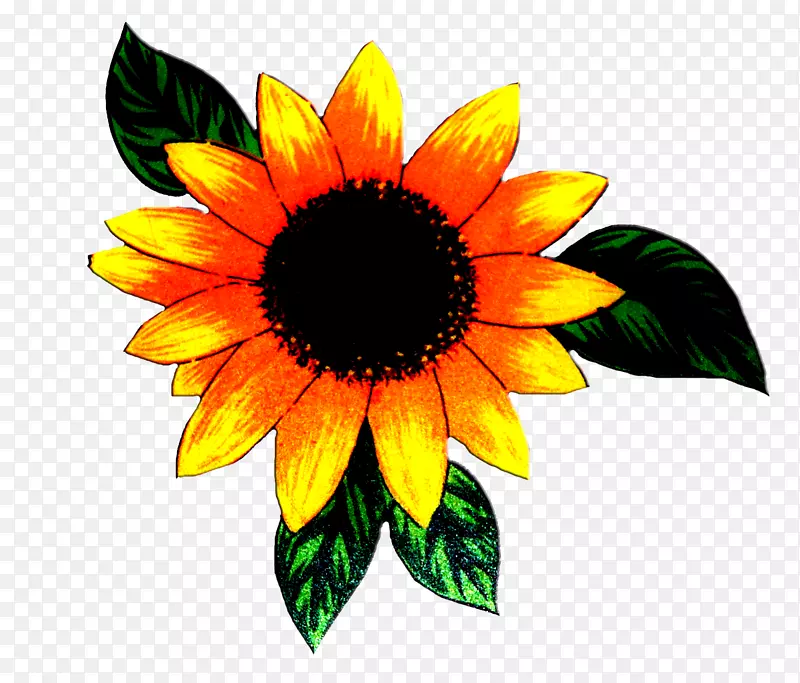 �����ʻ�ͼƬ�ʻ��߿��ز�-������