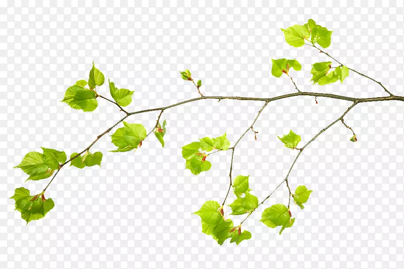 ������֦֦����֦ѿ-������