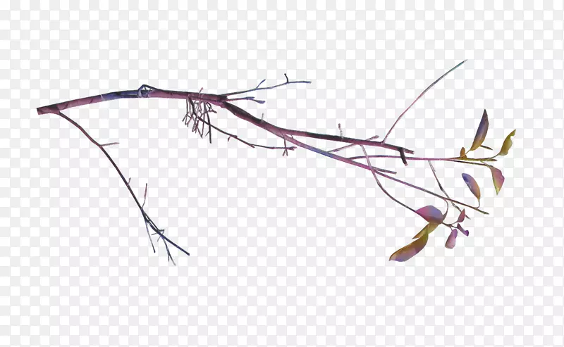 ֦Ҷ-������