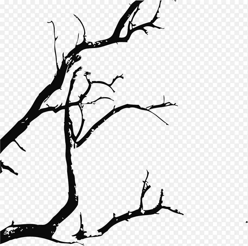 ��֦-������