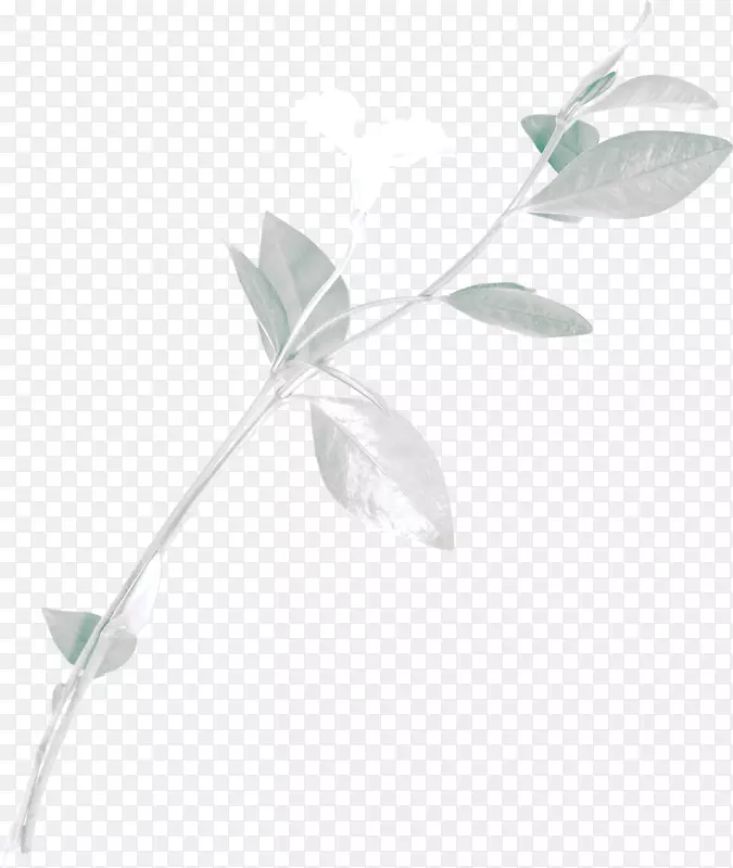 ��ɫ������֦ͷ-������