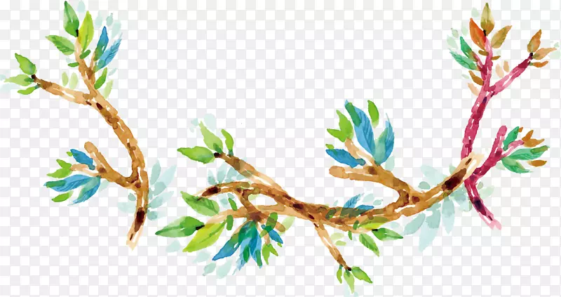 ˮ����֦���-������