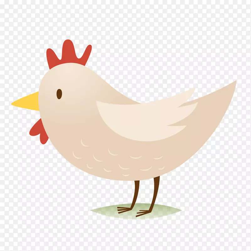 ��ͨС���ز�-������