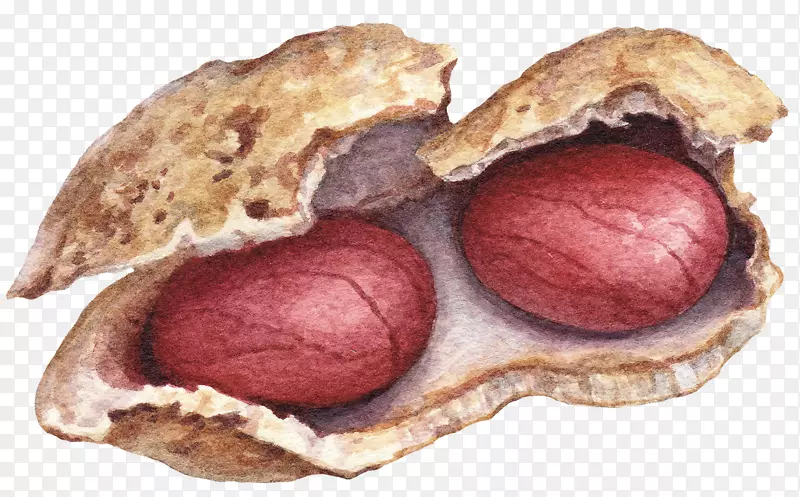 �ֻ�����Ļ���ʳ��-������