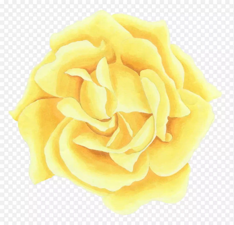 ˮ���ֻ��ʻ�-������