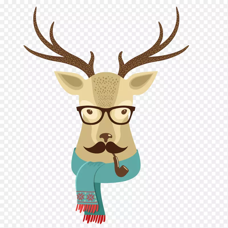 ��ͨ�ɰ�С����װ�����-������