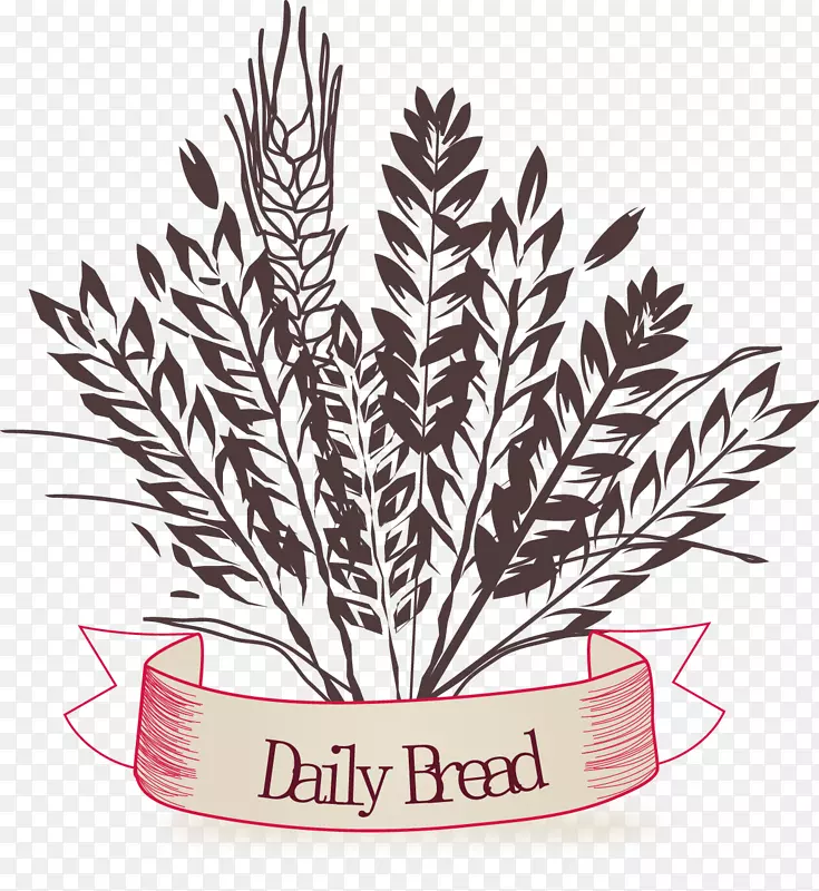 ����ʸ���ز�-������