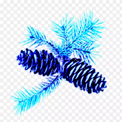 �����ʸ��ɹ�װ��-������