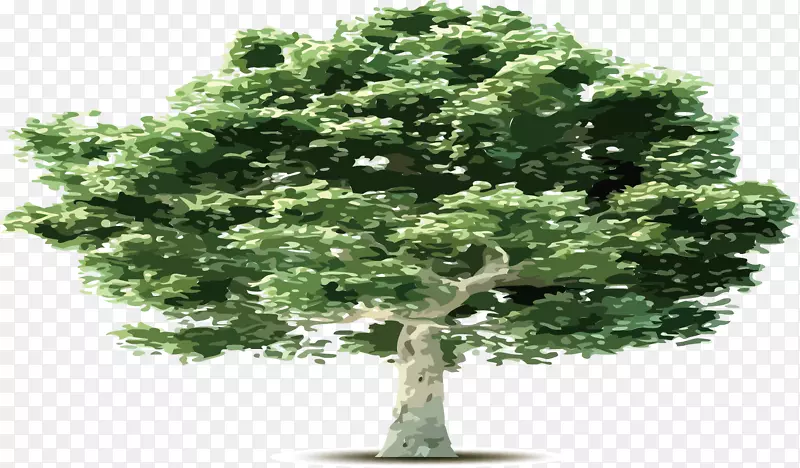 ��ͨ���� ʸ������-������